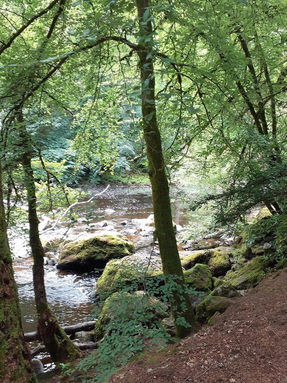 The Importance of Connecting to Gaia