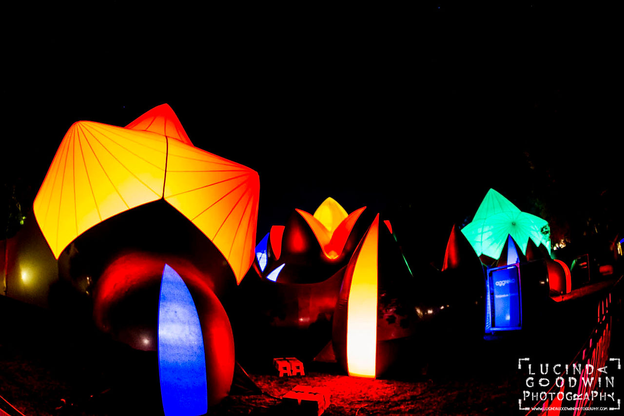LG__20150309_00217