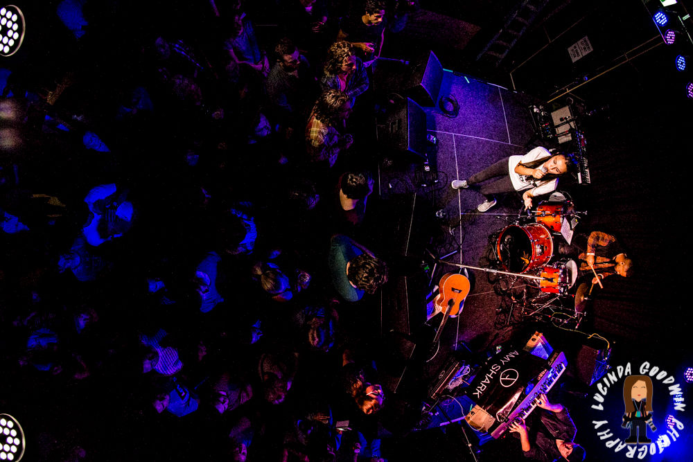LG__20161208_00074_Amy_Shark___Workers_Club_Geelong