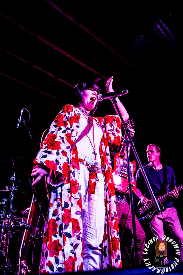 LG__20161028_00095_Vitti_Band_Roulette___Workers_Club,_Geelong