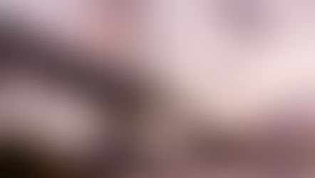 Startups de Florianópolis: as queridinhas dos fundos de capital de risco