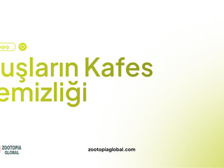 kuşların kafes temizliği