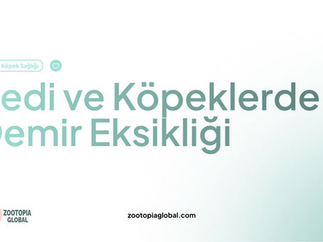 kedi ve köpeklerde demir eksikliği