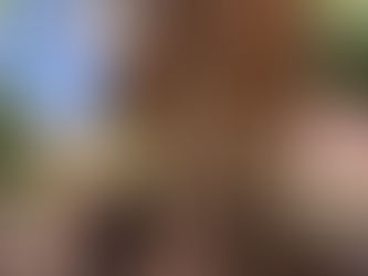 REQUIEM FOR THE TREES