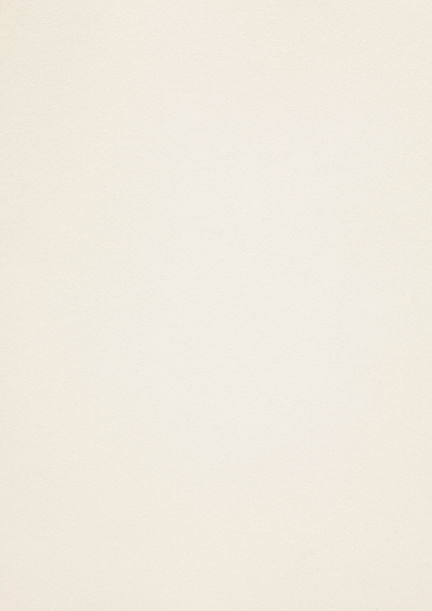 Textura 1 - Papel antiguo.jpg