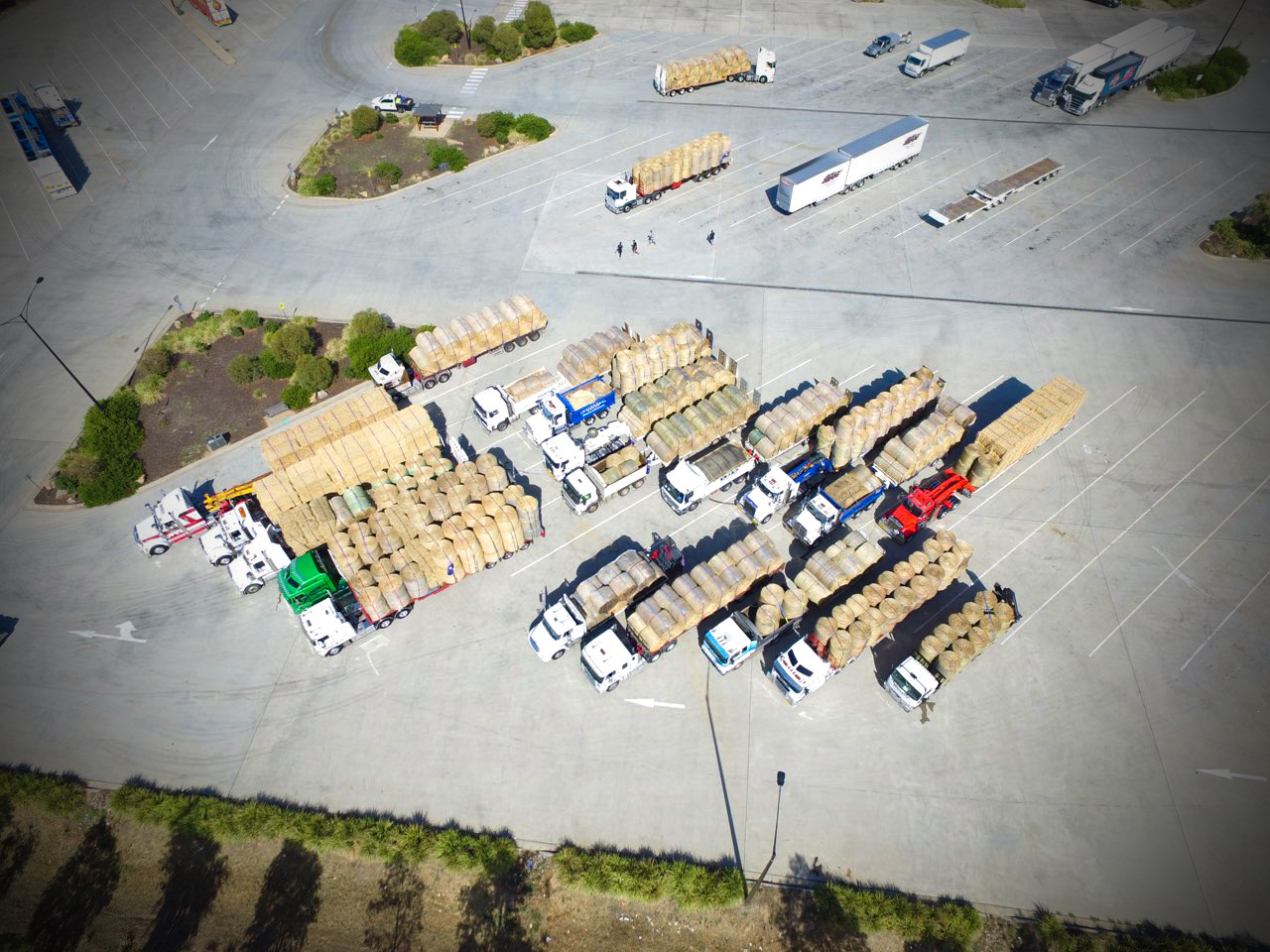 Associated Rigging Crane Hire News | Geelong & Melbourne | Associated Rigging
