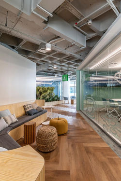 20190206_111608445_iOS