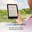 Thumbnail: LIMITED TIME DEAL - Kindle Paperwhite (8 GB) - THE LATEST MODEL