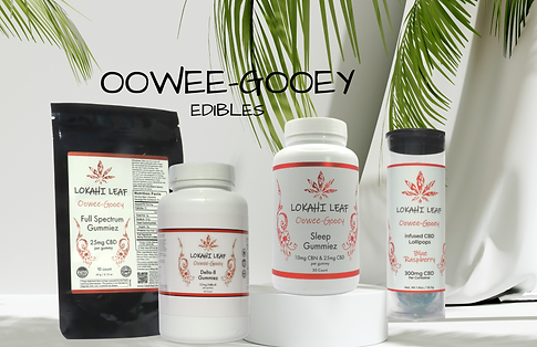 LOKAHI LEAF-WHITE- Tropical Layout Series (6).png