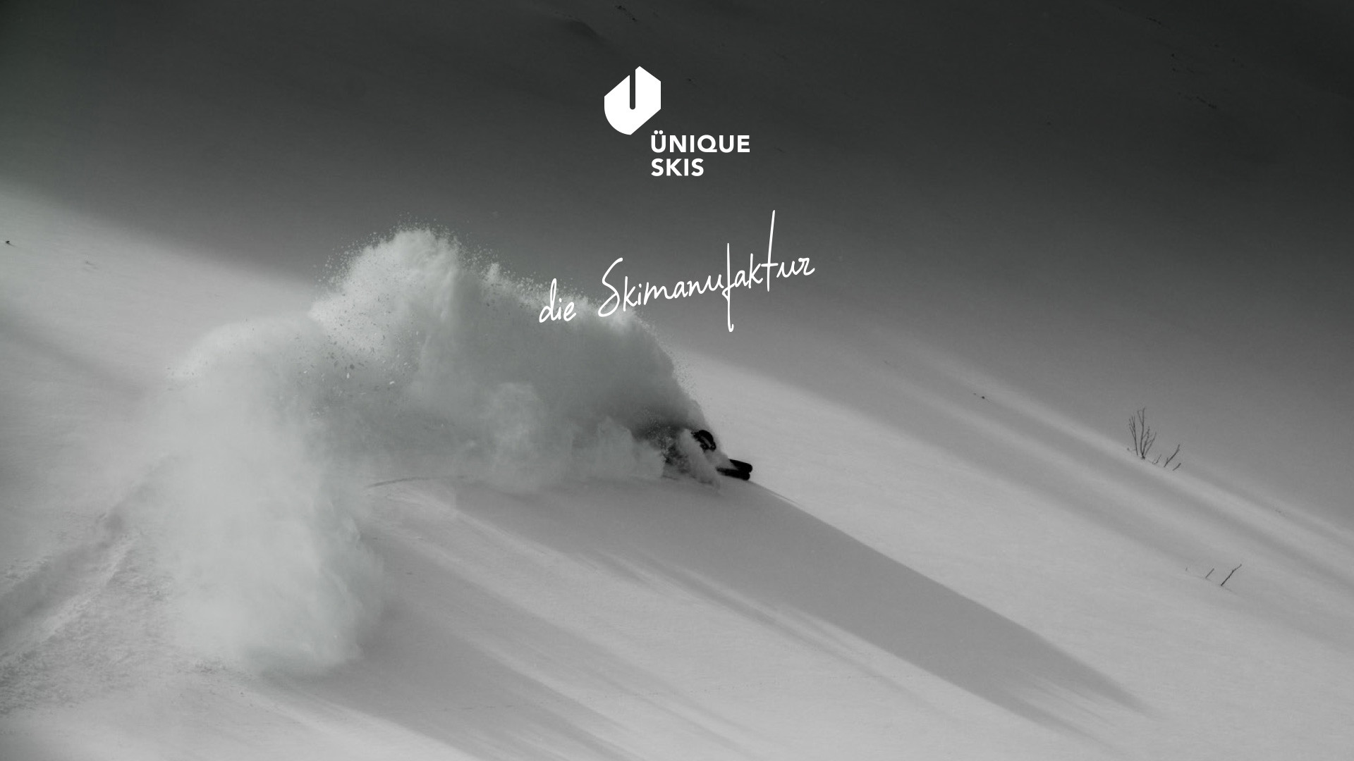 Ünique Skis