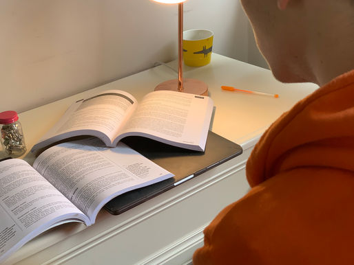 How do university students feel about online learning?