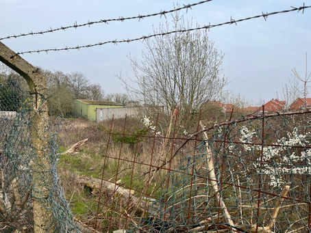 Planning updates @ March 2026