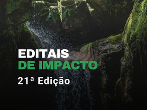 Editais de Impacto 21ª Edição