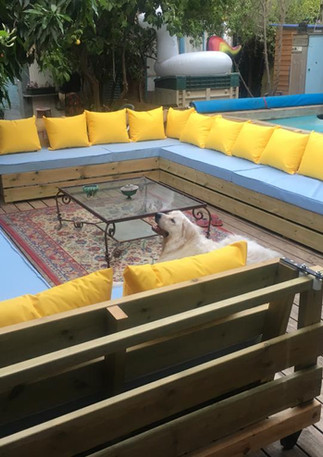 WhatsApp Image 2022-02-14 at 12.33.33.jpeg