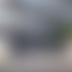 automated gate with integrated access control