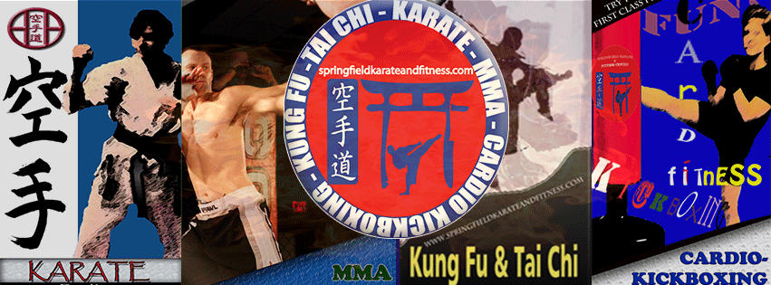 SKF banner.gif