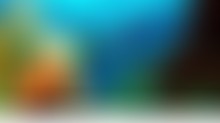 How the Great Barrier Reef is trying to heal itself