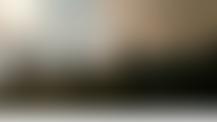 Saving forests could cut carbon emissions as much as taking every car in the world off the road