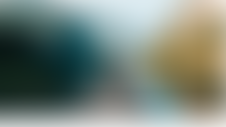 10 Things You Can Do To Reduce Your Carbon Footprint