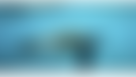 Mexico has created the world's largest marine park to protect endangered species