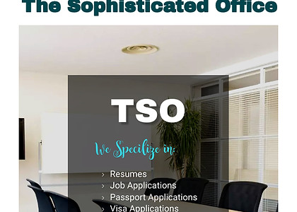 TSO - The sophisticated Office.jpg