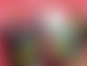 Balaguer dona el tret de sortida a les Festes de Nadal amb un ampli calendari d’activitats