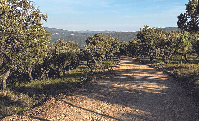 Actuacions de millora dels camins forestals en Àger per reforçar la prevenció i extinció d’incendis