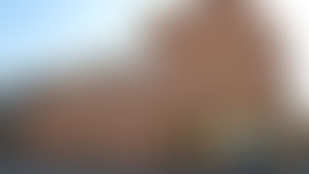 “Per Nadal ens trobem al Museu”propostes per gaudir de la cultura