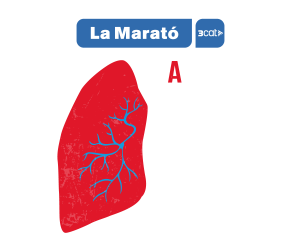 La-marato-2024_300x250px (2).gif