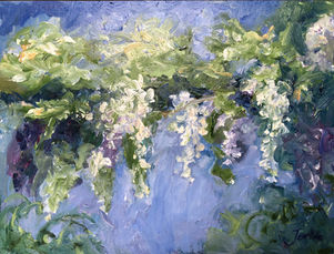 Singer Laren, wisteria
witte regen,