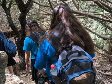 בריאות הנפש זה באמת הסיפור של כולנו