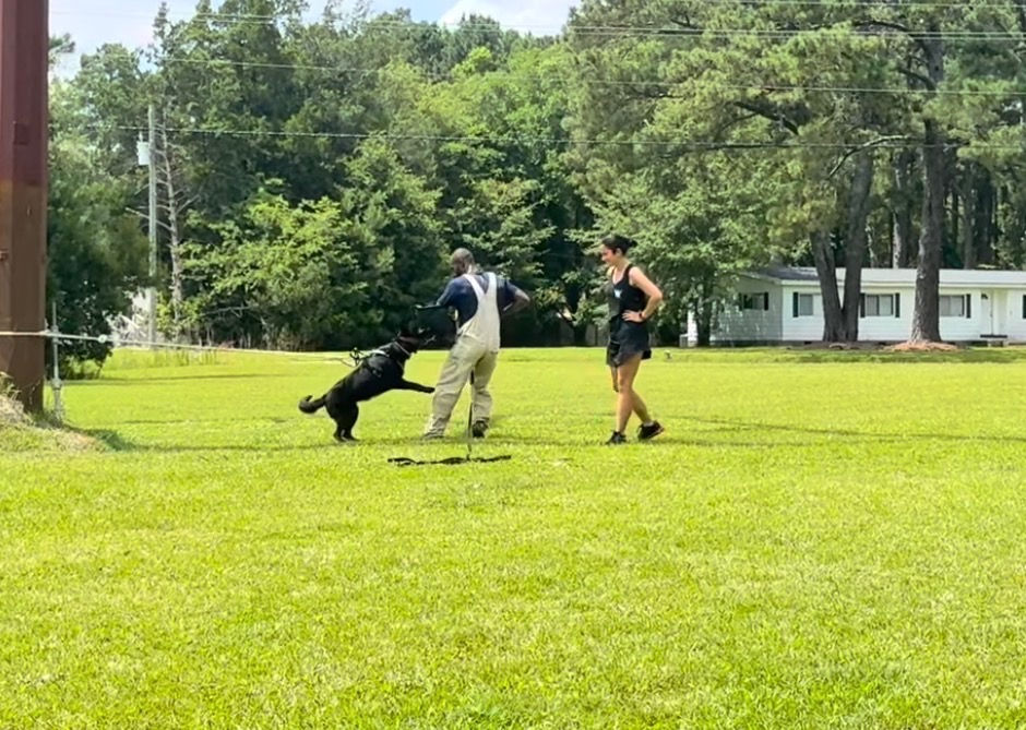 PUP TO PPD: Maintenance Training
