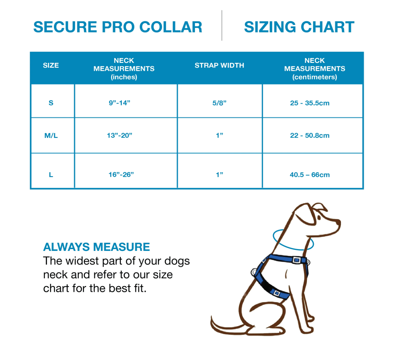 Secure Pro Dog Collar by Blue 9 Pet Products