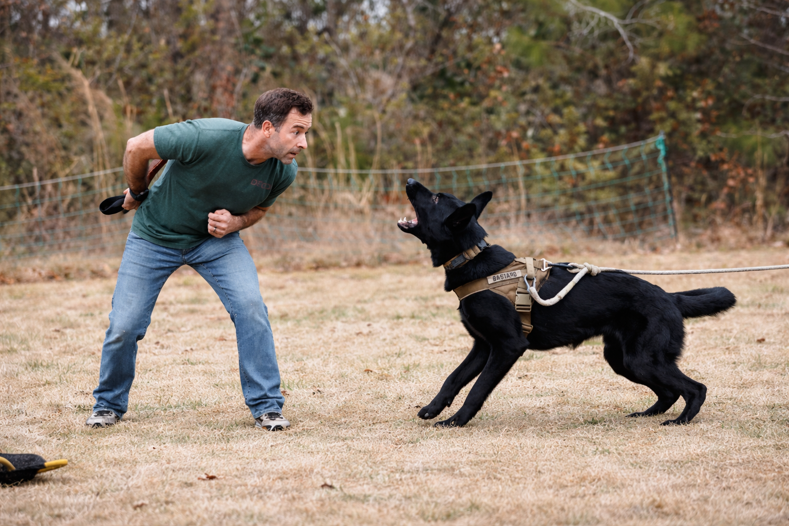 PUP TO PPD: Foundation Guardian (Deposit)