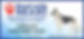 2021_GSD_BWH_banner.jpg