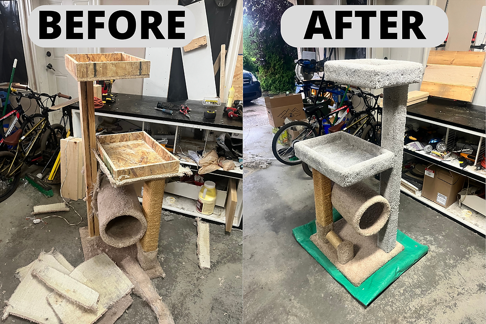 Thumbnail: Cat Tree Restorations