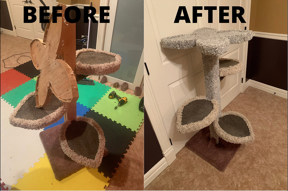 Thumbnail: Cat Tree Restorations