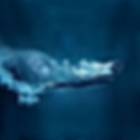 Underwater Dive