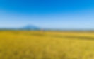 DJI_0036_edited.jpg