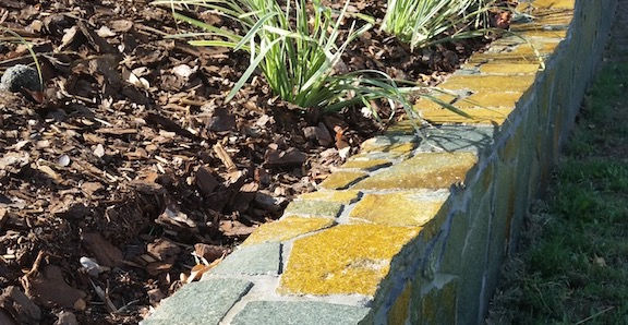 Stone Capping top