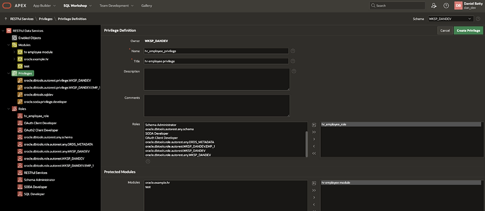 Dark Oracle APEX SQL Workshop screen showing Privilege Definition for hr_employee_privilege, with roles and modules selected.