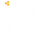 Code Storm Asia - Pakistan-24.png