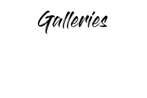 Portland Photographer