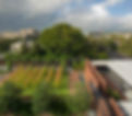 SOS+final17_edited.jpg