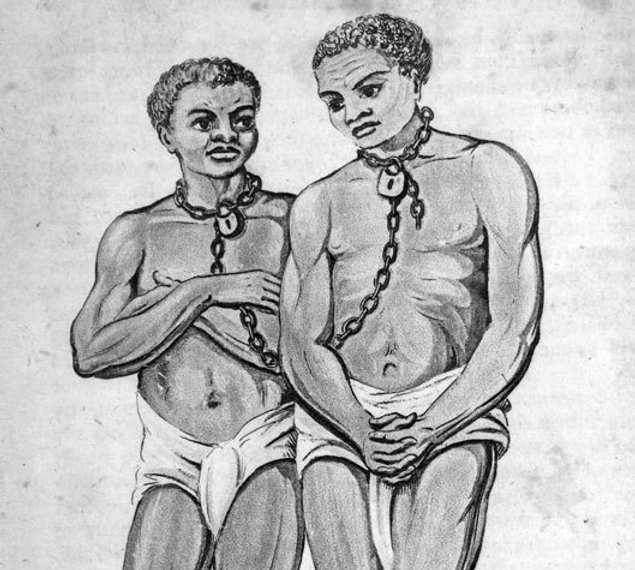 Captured Africans, 1805