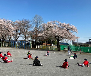 スクリーンショット 0005-03-08 13.41.38.png