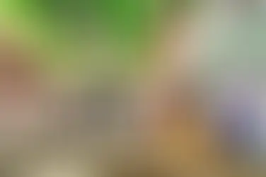 Pacientes com doenças crônicas terão transporte gratuito em cidade baiana