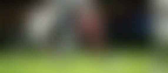Vitória busca virar a chave no Brasileirão contra o Remo neste domingo
