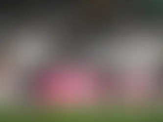Bahia x Botafogo se encaram antes da pausa para a Copa