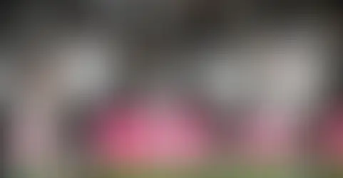 Bahia x Botafogo se encaram antes da pausa para a Copa